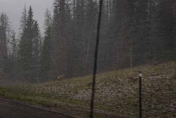 2019_Alaska_Trip_Day03_3533
