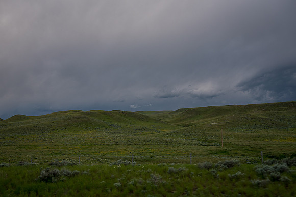 2019_Alaska_Trip_Day02_3263