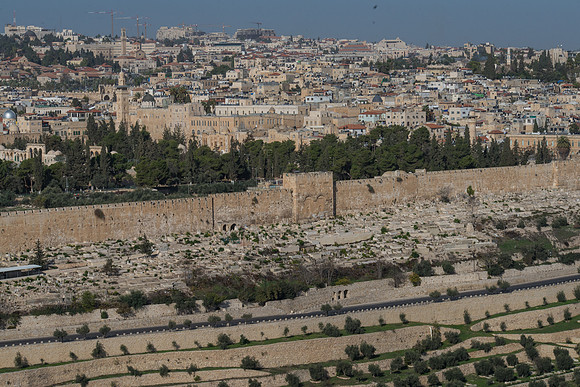 1158_2015_Israel_Trip_4788
