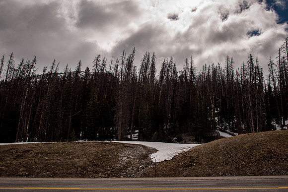 2019_Alaska_Trip_Day03_3501