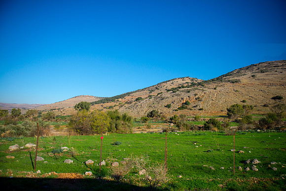0599_2015_Israel_Trip_4224