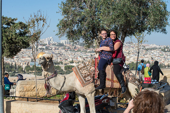 1208_2015_Israel_Trip_4838