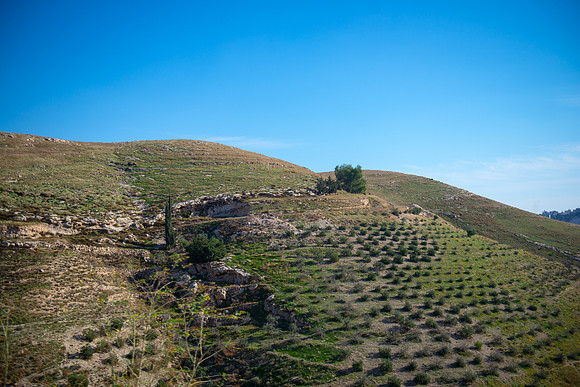 0803_2015_Israel_Trip_4429