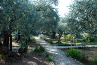 1226_2015_Israel_Trip_4856