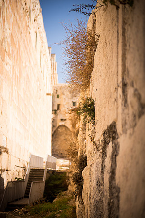 1521_2015_Israel_Trip_5191