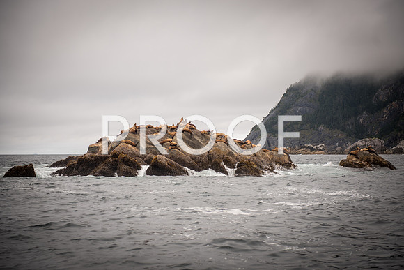 Fishing_750_9459