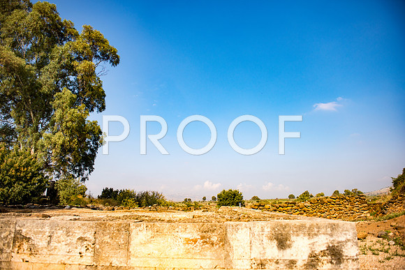 2018_Israel_Trip_04_03-7279