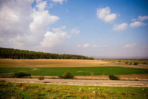 0144_2015_Israel_Trip_3632