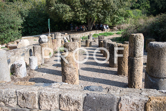 2018_Israel_Trip_04_04-7318