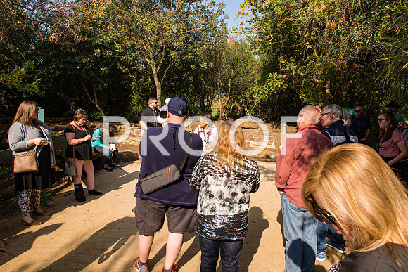 2018_Israel_Trip_04_03-7254