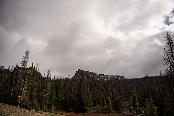 2019_Alaska_Trip_Day03_3483