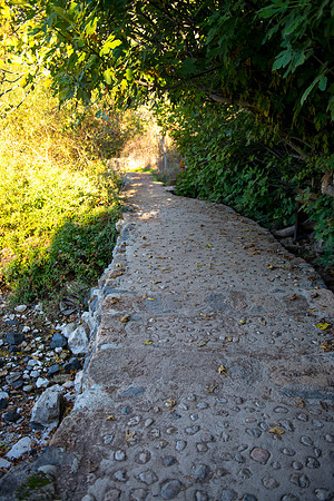 0610_2015_Israel_Trip_4235