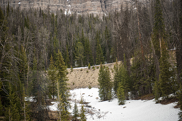 2019_Alaska_Trip_Day03_3485