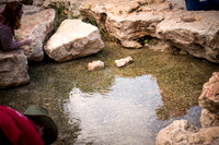 0229_2015_Israel_Trip_3717