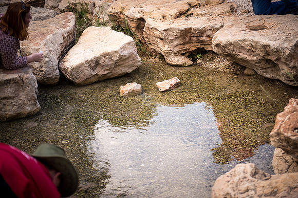 0229_2015_Israel_Trip_3717