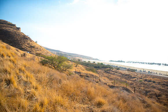 0562_2015_Israel_Trip_4052