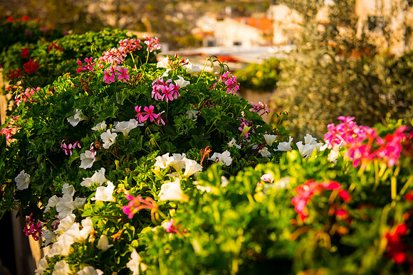 1395_2015_Israel_Trip_5065