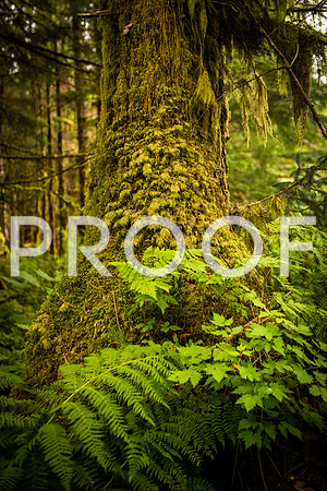 HarrisRiver_750_9186