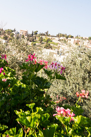 1416_2015_Israel_Trip_5086