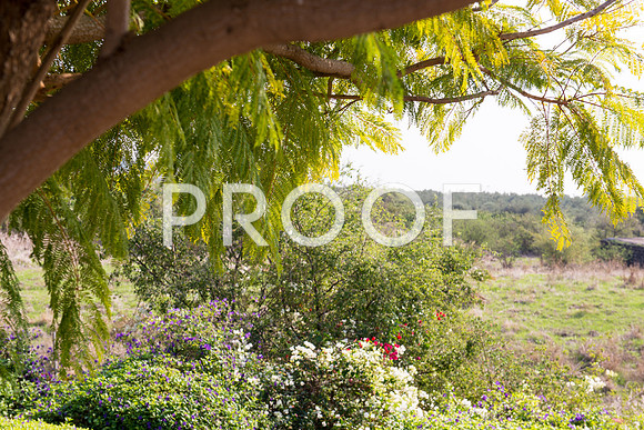 2018_Israel_Trip_04_02-Beatitudes7243