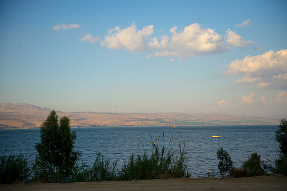 0590_2015_Israel_Trip_4080