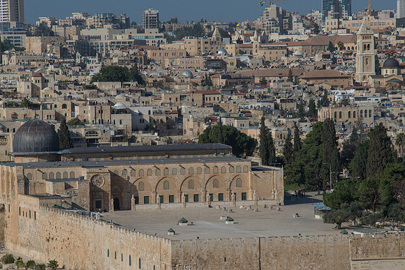 1166_2015_Israel_Trip_4796