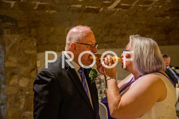 2024-Kussman-Wedding-184658-3953