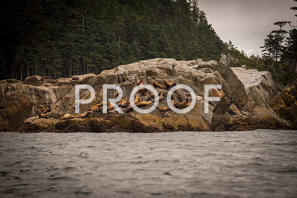 Fishing_610_2088