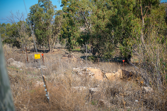 0747_2015_Israel_Trip_4373