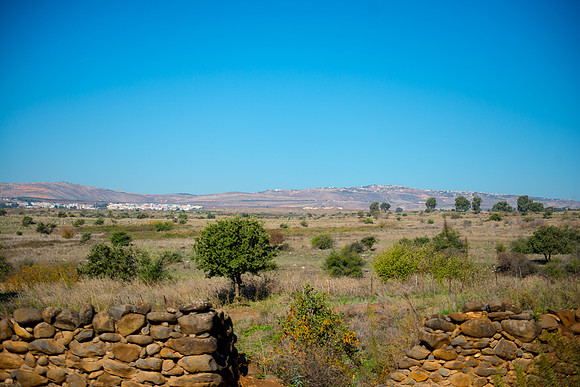 0722_2015_Israel_Trip_4348
