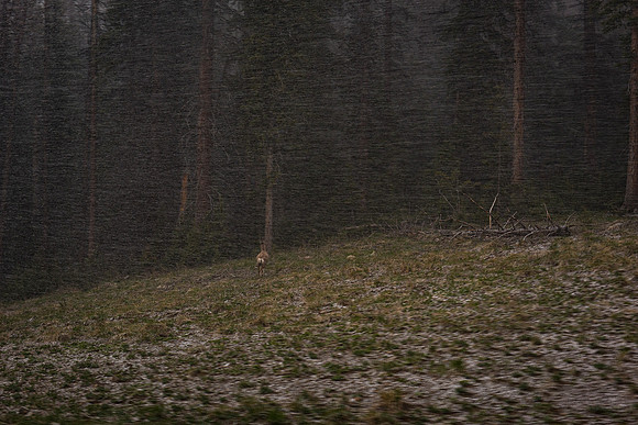 2019_Alaska_Trip_Day03_3534
