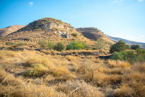 0547_2015_Israel_Trip_4037