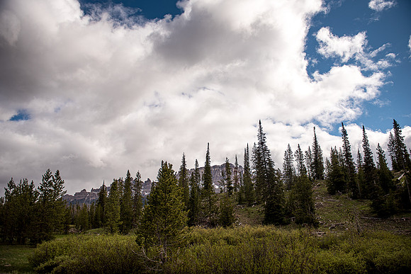 2019_Alaska_Trip_Day03_3462