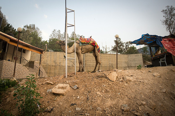 1360_2015_Israel_Trip_5014