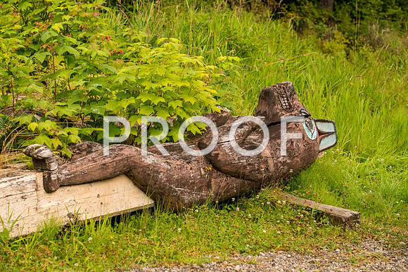 KlawockTP_610_1894