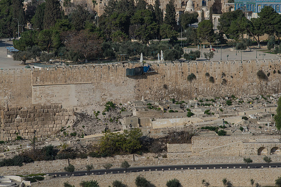 1167_2015_Israel_Trip_4797