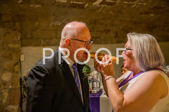 2024-Kussman-Wedding-184700-3955