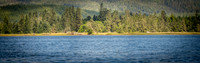 610_1667-Pano