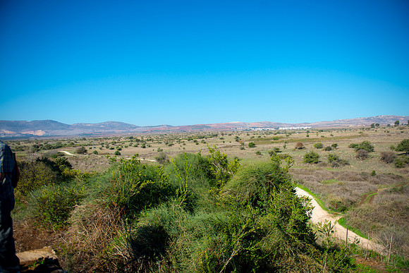 0733_2015_Israel_Trip_4359