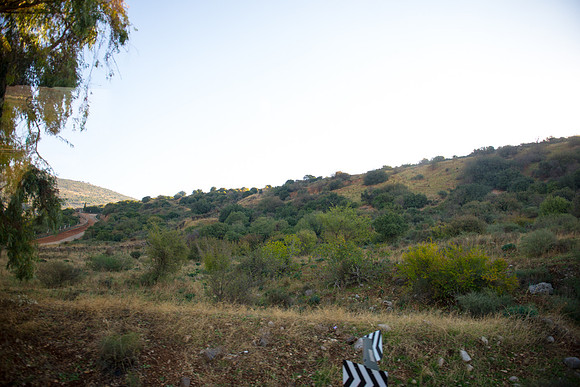 0602_2015_Israel_Trip_4227