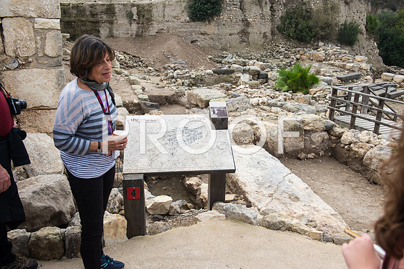 2018_Israel_Trip_03_03-Megiddo6989