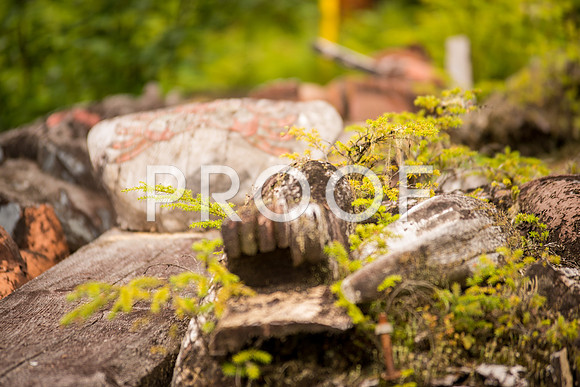 KlawockTP_610_1899