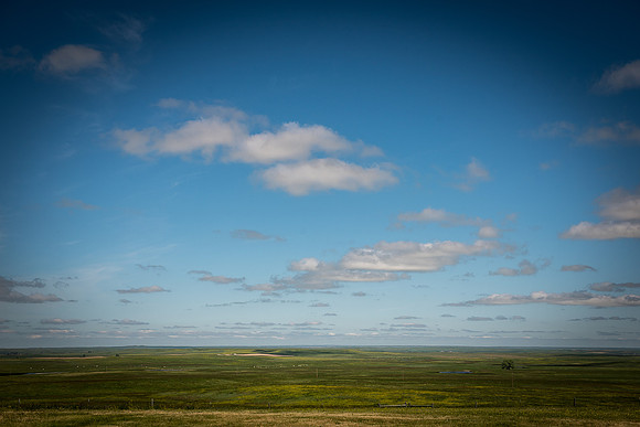 2019_Alaska_Trip_Day02_2891