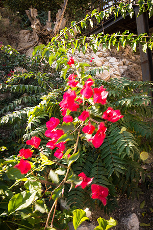 1493_2015_Israel_Trip_5163