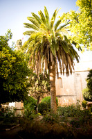 1649_2015_Israel_Trip_5320