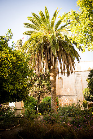 1649_2015_Israel_Trip_5320