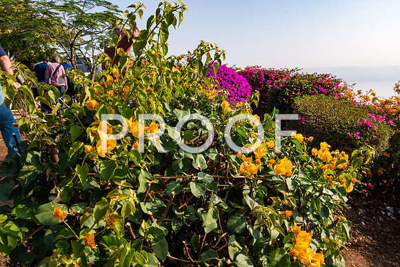2018_Israel_Trip_04_02-Beatitudes7236