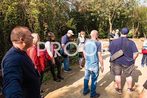 2018_Israel_Trip_04_03-7255