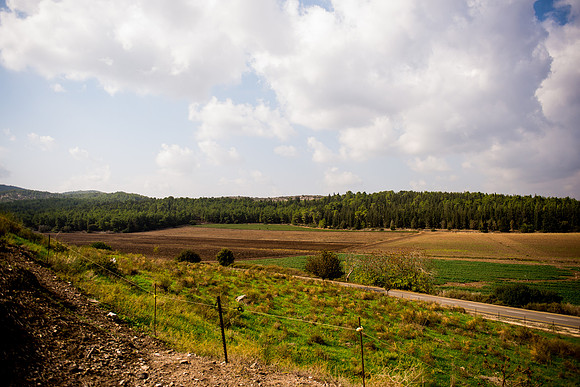 0143_2015_Israel_Trip_3631
