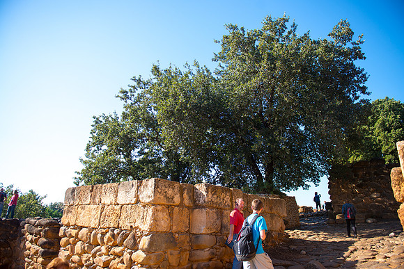 0702_2015_Israel_Trip_4328